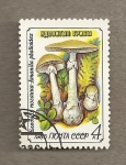 Sellos de Europa - Rusia -  Setas: Amanita phalloides