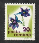 Stamps Romania -  2912 - Flor salvaje