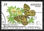 Stamps Spain -  Fauna - Parnassius apollo