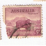 Sellos de Oceania - Australia -  Merino Sheep