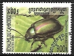 Sellos de Asia - Camboya -  Insectos -  Diochrysa fastuosa