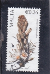 Stamps : Europe : Malta :  FLORES- Asphodelus aestivus