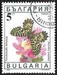 Sellos del Mundo : Europe : Bulgaria : Mariposas -Zerynthia polyxena