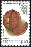 Stamps Nicaragua -  Frutas - Pitahaya