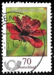 Stamps Germany -  Alemania-cambio