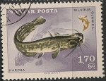 Stamps Hungary -  1913 - 14 Congreso de la Confederación Internacional de pesca deportiva en Budapest, pez silurus gla