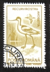 Stamps Romania -  Aves Acuáticas 1991