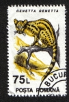 Stamps Romania -  Mamiferos