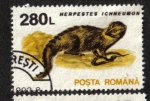 Stamps Romania -  Mamiferos