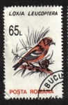 Stamps Romania -  Aves 1993-1996