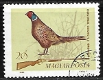 Stamps Hungary -  Aves - Phasianus colchicus