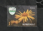 Sellos de Europa - Rumania -  6051 - Flor, arnica montana