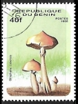 Stamps Benin -  Setas - Stropharia cubensis