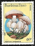 Sellos de Africa - Burkina Faso -  Setas- Agaricus campestris