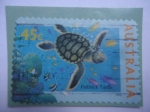 Stamps Australia -  Flatback Turtle -Tortuga de Espalda Plana Australiana- (Chelonia Depressa)-Serie:Vida Marina.