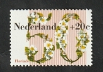 Stamps Netherlands -  1173 - Flores