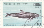 Stamps Cuba -  falsa orca 