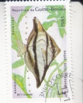 Stamps Guinea Bissau -  PEZ- mondactylus sebae