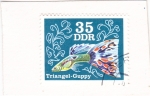 Stamps Germany -  pez tropical
