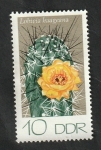 Stamps Germany -  1603 - Cactus, Lobivia haageana