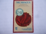 Sellos de America - Nicaragua -  Independencia Norteamericana (1776-1976)- Moneda Colonial.