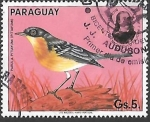 Sellos de America - Paraguay -  aves