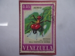 Stamps Venezuela -  Bachaco - Atta Sexdens L. - (Ataca los Cultivos en general)