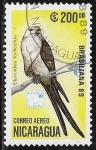 Stamps Nicaragua -  Elanoides forficatus