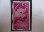 Stamps Spain -  Ed:Es-Sh 142 - Shara Español - Hiena Rayada (Hyaena hyaena) - Día del Sello 1957 - Pro Infancia.