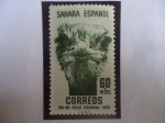 Sellos de Europa - Espaa -  Ed:ES-SH 100 - Sahara Español - Avestruz - Día del Sello Colonial 1952.