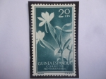 Sellos de Europa - Espaa -  Ed:ES-GN 360 - Flores Angraecum Distichum - Sello:Pro-Indigena 1956 - Guinea Española.