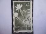 Sellos de Europa - Espaa -  Ed:ES-GN 358 -Flores Angraecum Distichun - Guinea Español - Sello:Pro-Indigena 1956