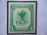 Sellos de America - Colombia -  U.P.U. - 75°Aniversario de la Unión Postal Universal (1874-1949) - Masdevallia Nycterina.