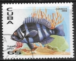 Sellos de America - Cuba -  Peces - Hypoplectrus indigo