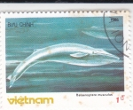 Stamps Vietnam -  cachalote