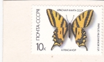 Stamps Russia -  Mariposa