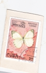 Stamps Cuba -  Mariposa