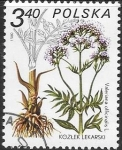 Sellos de Europa - Polonia -  plantas