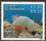 Sellos de America - El Salvador -  fauna marina