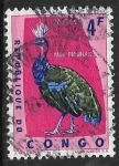 Sellos de Africa - Rep�blica del Congo -  Afropavo congensis