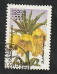 Sellos de Europa - Rusia -  6168 - Flor