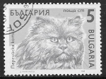 Sellos del Mundo : Europe : Bulgaria : Felis silvestris catus