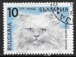 Sellos del Mundo : Europe : Bulgaria : Felis silvestris catus