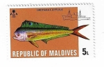 Stamps Maldives -  Pez. Lampuga