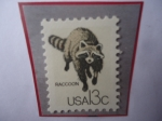 Stamps United States -  Raccoon (Procyon lotor) - Mapache.