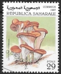 Stamps Morocco -  plantas 