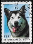 Sellos de Africa - Benin -  Perros - Alaskan Malamute 