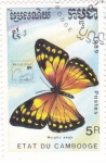 Stamps Cambodia -  Mariposa