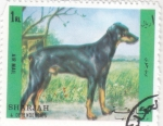 Stamps United Arab Emirates -  PERRO DE RAZA 