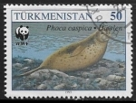 Sellos de Asia - Turkmenistn -  Phoca caspica